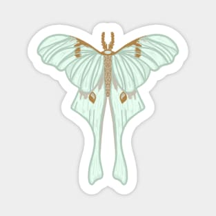 Hand drawn Luna moth Sticker